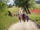 Miniatura: 2007-06-13 09:41:59 rajd pieszy (503)